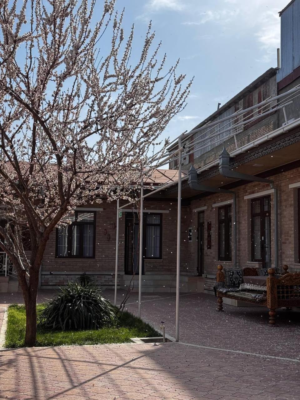Salomat Guest House Самарканд Екстер'єр фото